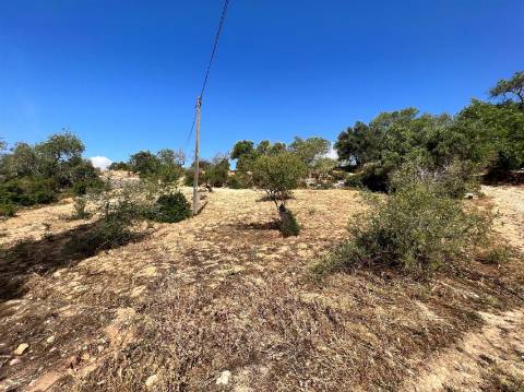 Terreno Rústico  Venda em Conceição e Estoi,Faro