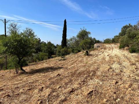 Terreno Rústico  Venda em Conceição e Estoi,Faro