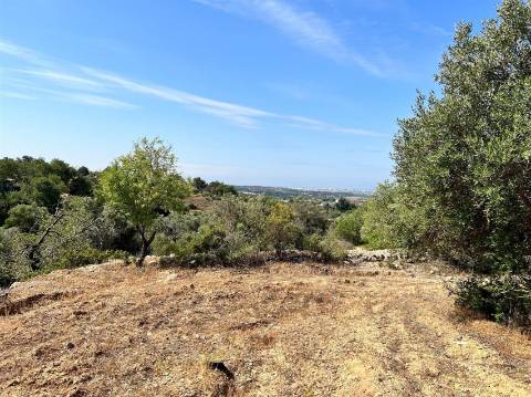 Terreno Rústico  Venda em Conceição e Estoi,Faro
