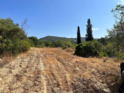 Terreno Rústico  Venda em Conceição e Estoi,Faro