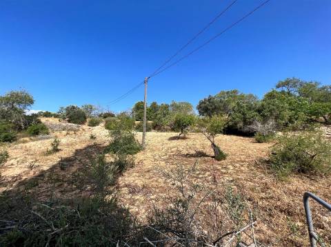 Terreno Rústico  Venda em Conceição e Estoi,Faro
