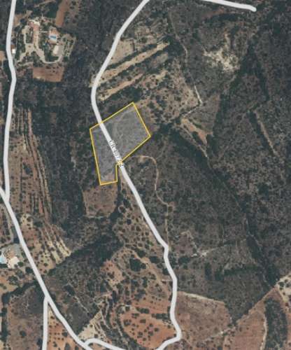 Terreno Rústico  Venda em Conceição e Estoi,Faro