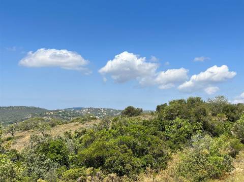 Terreno Rústico  Venda em Conceição e Estoi,Faro