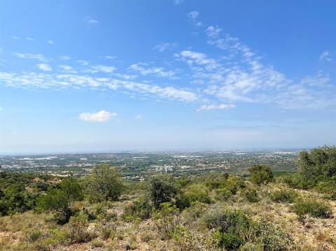 Terreno Rústico  Venda em Conceição e Estoi,Faro