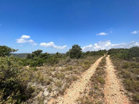 Terreno Rústico  Venda em Conceição e Estoi,Faro