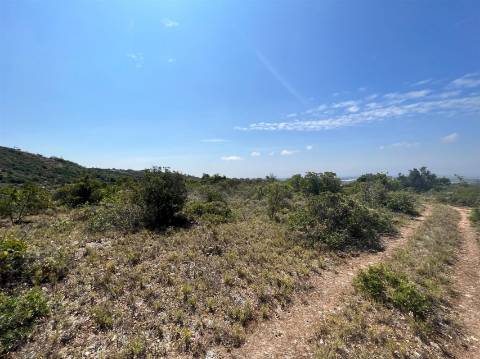 Terreno Rústico  Venda em Conceição e Estoi,Faro
