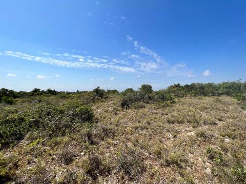 Terreno Rústico  Venda em Conceição e Estoi,Faro