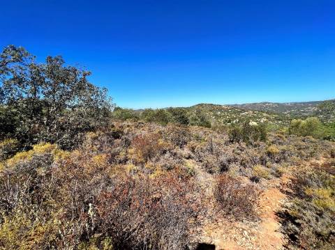 Terreno Rústico  Venda em Conceição e Estoi,Faro