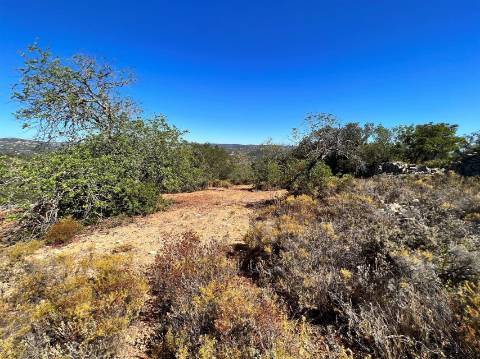 Terreno Rústico  Venda em Conceição e Estoi,Faro