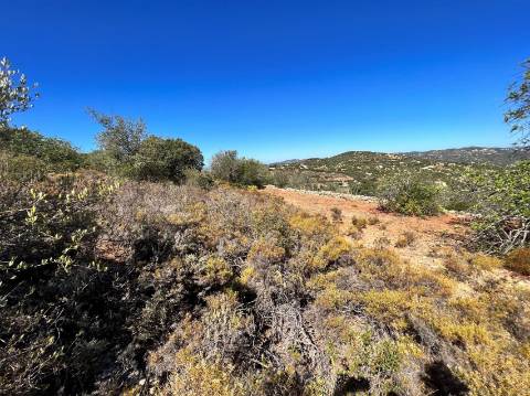 Terreno Rústico  Venda em Conceição e Estoi,Faro