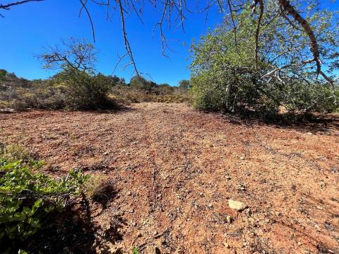 Terreno Rústico  Venda em Conceição e Estoi,Faro