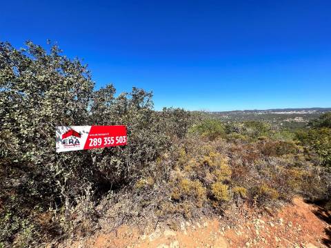 Terreno Rústico  Venda em Conceição e Estoi,Faro