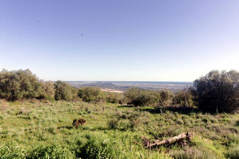 Moradia Rústica  Venda em Loulé (São Sebastião),Loulé