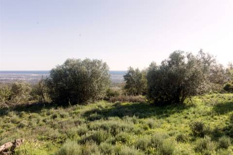 Moradia Rústica  Venda em Loulé (São Sebastião),Loulé