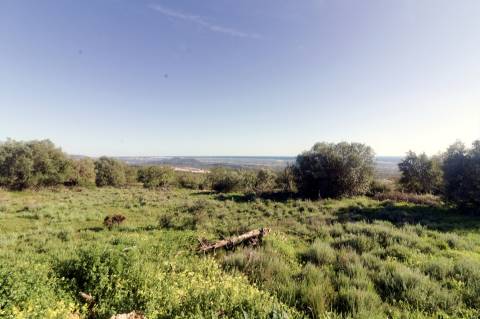 Moradia Rústica  Venda em Loulé (São Sebastião),Loulé
