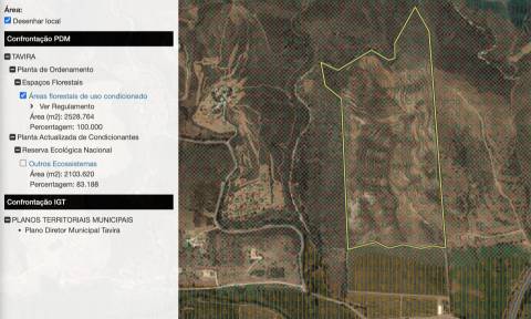 Terreno Rústico  Arrendamento em Tavira (Santa Maria e Santiago),Tavira