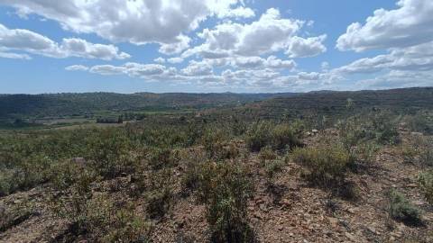Terreno Rústico  Arrendamento em Tavira (Santa Maria e Santiago),Tavira
