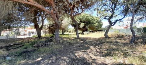 Terreno Rústico  Venda em Almancil,Loulé