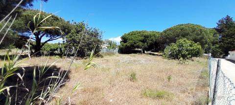 Terreno Rústico  Venda em Almancil,Loulé