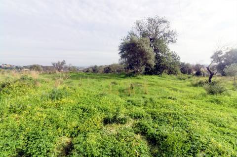 Terreno Para Construção  Venda em Loulé (São Clemente),Loulé