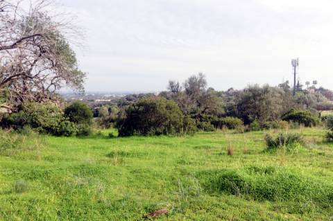 Terreno Para Construção  Venda em Loulé (São Clemente),Loulé