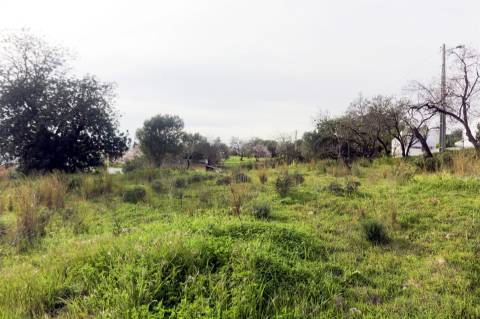 Terreno Para Construção  Venda em Loulé (São Clemente),Loulé
