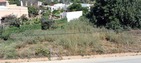 Terreno Urbano  Venda em Almancil,Loulé