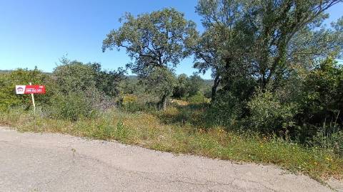 Terreno Rústico  Venda em Santa Bárbara de Nexe,Faro