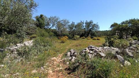 Terreno Rústico  Venda em Santa Bárbara de Nexe,Faro