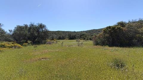 Terreno Rústico  Venda em Santa Bárbara de Nexe,Faro