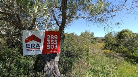 Terreno Rústico  Venda em Santa Bárbara de Nexe,Faro