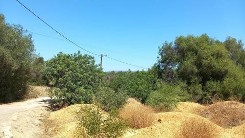 Moradia  Venda em Almancil,Loulé