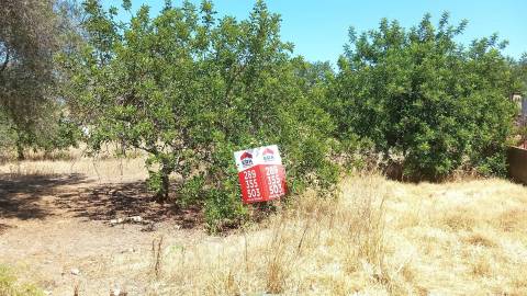 Moradia  Venda em Almancil,Loulé