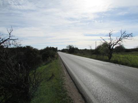 Lote Industrial  Venda em Boliqueime,Loulé