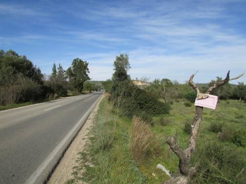 Lote Industrial  Venda em Boliqueime,Loulé