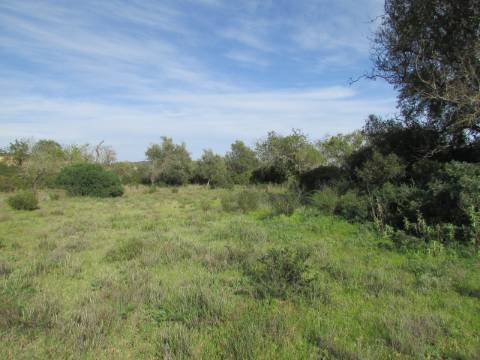 Lote Industrial  Venda em Boliqueime,Loulé
