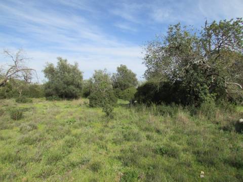 Lote Industrial  Venda em Boliqueime,Loulé