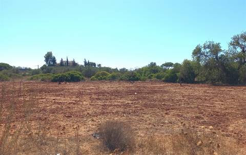 Terreno Rústico  Venda em Almancil,Loulé