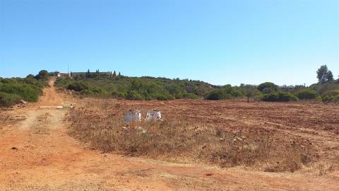Terreno Rústico  Venda em Almancil,Loulé