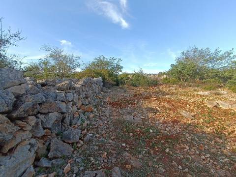 Terreno Rústico  Venda em Salir,Loulé