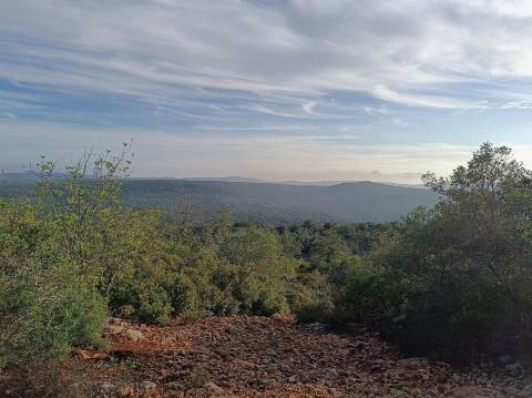 Terreno Rústico  Venda em Salir,Loulé
