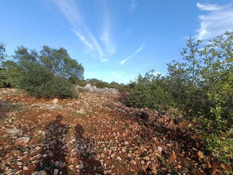 Terreno Rústico  Venda em Salir,Loulé