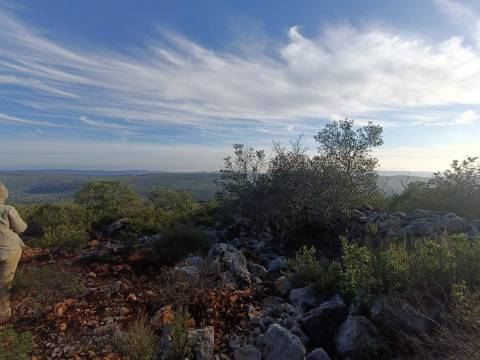 Terreno Rústico  Venda em Salir,Loulé