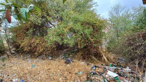 Moradia Rústica T1 Venda em Loulé (São Clemente),Loulé