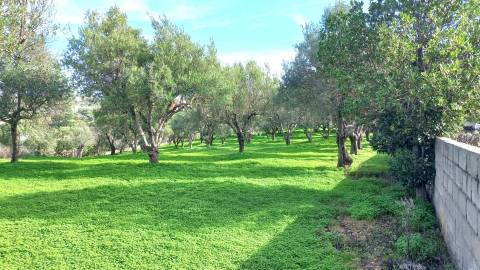 Terreno Rústico  Venda em Loulé (São Clemente),Loulé