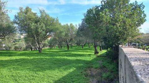 Terreno Rústico  Venda em Loulé (São Clemente),Loulé
