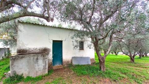 Terreno Rústico  Venda em Loulé (São Clemente),Loulé
