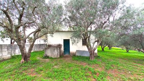 Terreno Rústico  Venda em Loulé (São Clemente),Loulé