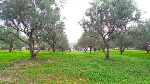 Terreno Rústico  Venda em Loulé (São Clemente),Loulé