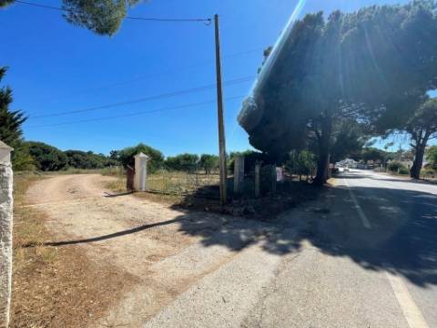 Terreno Rústico  Venda em Quarteira,Loulé